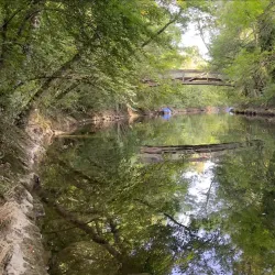 Lake Neuchâtel Promenade - Neuchatel