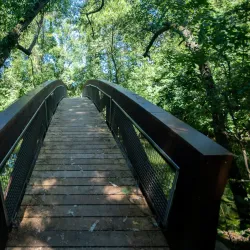 Lake Neuchâtel Promenade - Neuchatel