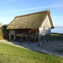 Laténium Archaeology Museum - Neuchatel
