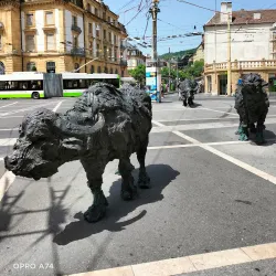 Neuchâtel Old Town - Neuchatel