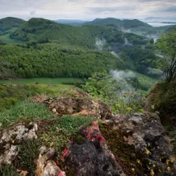 Aargau Jura Park - Neuenhof