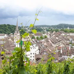 Munot Fortress - Neuhausen