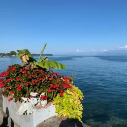 Lake Geneva Promenade - Nyon