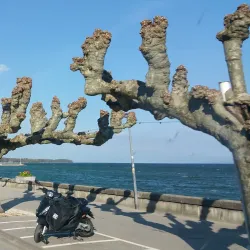 Nyon Old Town - Nyon