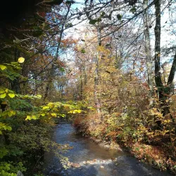 Parc des Moulins - Nyon