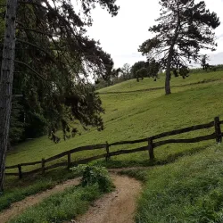 Parc des Moulins - Nyon
