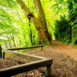 Parc des Moulins - Nyon