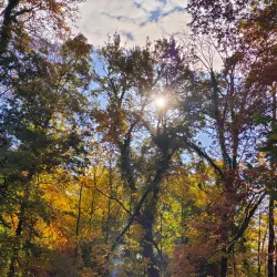 Parc des Moulins - Nyon