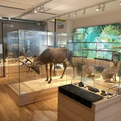 Museum Olten - Olten