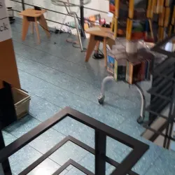 Olten City Library - Olten