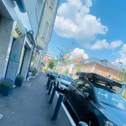 Rathaus Olten (Town Hall) - Olten