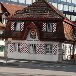 Rathaus Olten (Town Hall) - Olten