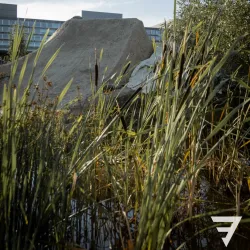 Opfikon Bike Trails - Opfikon