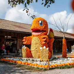 Jucker Farm - Pfaffikon