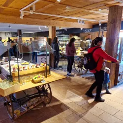 Jucker Farm - Pfaffikon