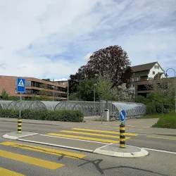 Lake Zurich - Pfaffikon