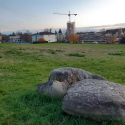 Lake Zurich - Pfaffikon