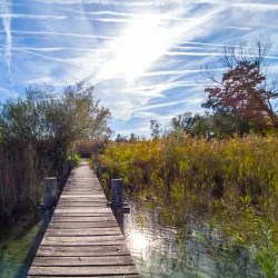 Pfäffikersee (Lake Pfäffikon) - Pfaffikon