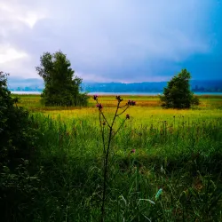 Pfäffikersee (Lake Pfäffikon) - Pfaffikon