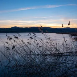 Pfäffikersee (Lake Pfäffikon) - Pfaffikon