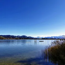Pfäffikersee (Lake Pfäffikon) - Pfaffikon