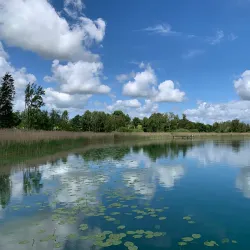 Pfäffikersee (Lake Pfäffikon) - Pfaffikon