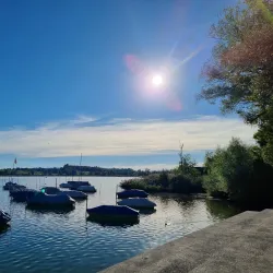 Pfäffikersee (Lake Pfäffikon) - Pfaffikon