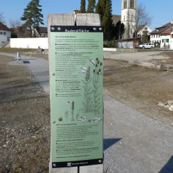 Pfäffikon Church (Reformierte Kirche Pfäffikon) - Pfaffikon
