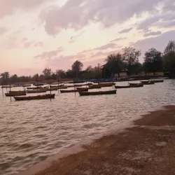 Pfäffikon Cultural Center - Pfaffikon