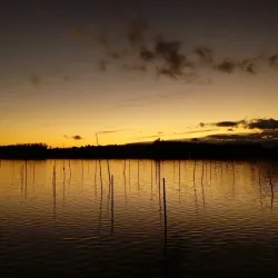 Pfäffikon Cultural Center - Pfaffikon