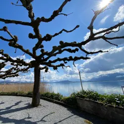 Pfäffikon Hiking Trails - Pfaffikon