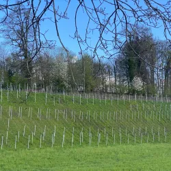 Pfäffikon Hiking Trails - Pfaffikon