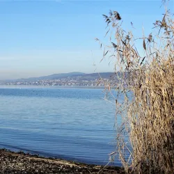 Pfäffikon Old Town - Pfaffikon