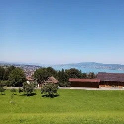 Pfäffikon Old Town - Pfaffikon