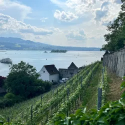 Rapperswil Castle - Pfaffikon