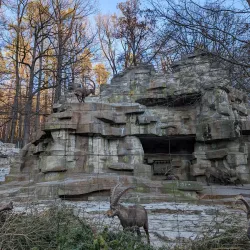 Wildpark Langenberg - Pfaffikon