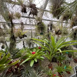 Jura Nature Park - Porrentruy