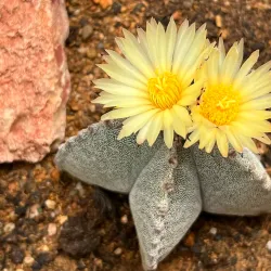 Jura Nature Park - Porrentruy