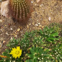 Jura Nature Park - Porrentruy