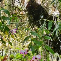 Jura Nature Park - Porrentruy