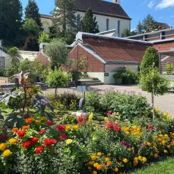 Jura Nature Park - Porrentruy