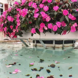 Museum of the Jura (Musée jurassien d'art et d'histoire) - Porrentruy