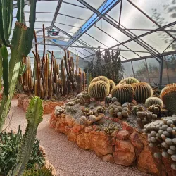 The Jura Museum of Natural History - Porrentruy