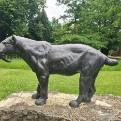 The Jura Museum of Natural History - Porrentruy