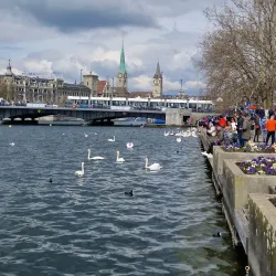 Lake Zurich Promenade - Rapperswil