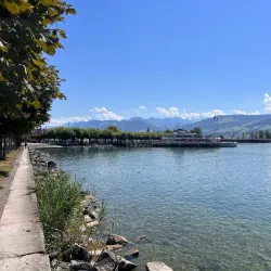 Rapperswil Harbour - Rapperswil