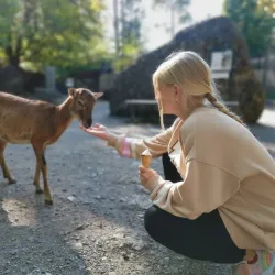 Rapperswil Zoo (Tierpark Goldingen) - Rapperswil