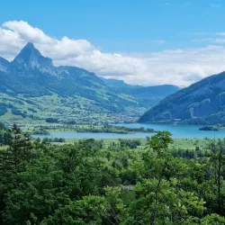 Rapperswil Zoo (Tierpark Goldingen) - Rapperswil