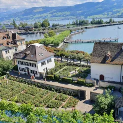 Rose Gardens (Rosengarten) - Rapperswil