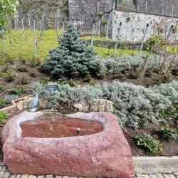 Rose Gardens (Rosengarten) - Rapperswil